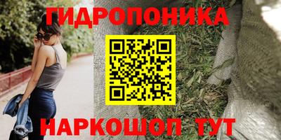гидра Балашиха