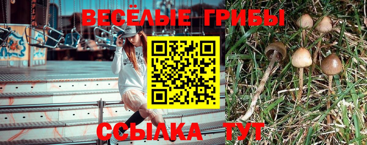 Воркута  Псилоцибиновые грибы Psilocybine cubensis  Вход с VPN  Псилоцибиновые грибы ЛСД 